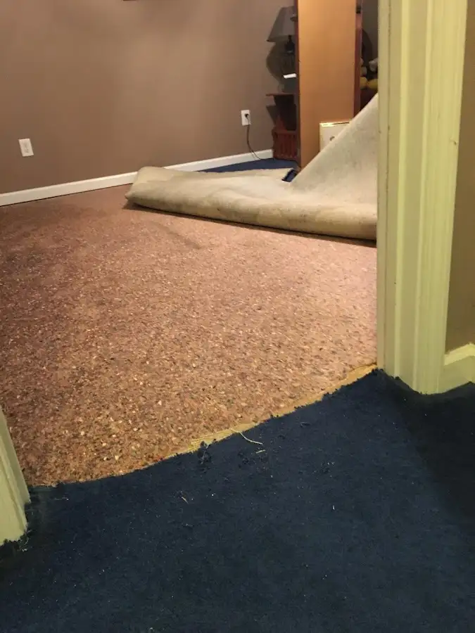 Carpet pad removal revealing water damage during Water Mitigation Services in Waterboro