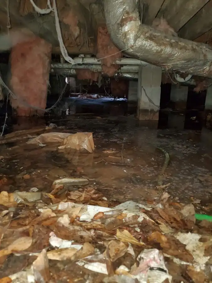 Crawl space flood assessment for Leak Detection & Repair in Waterboro
